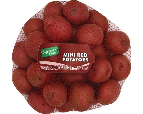 Order Signature Farms · Mini Red Potatoes (24 oz) food online from Safeway store, Butte on bringmethat.com