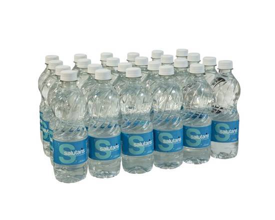 Agua Salutaris 24 Pack