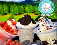 Batidos Heladeria Ponny (San Jose, CR)