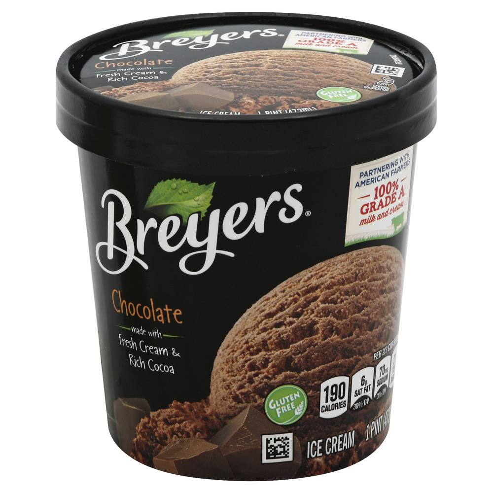 Breyers Ice Cream, Chocolate (16 fl oz)