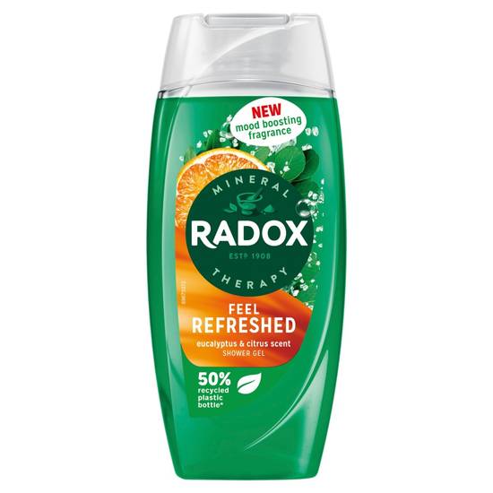 Radox Mineral Therapy body wash Feel Refreshed 225 ml