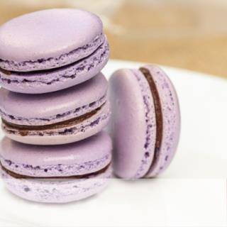 Macaron Queso con Zarzamora