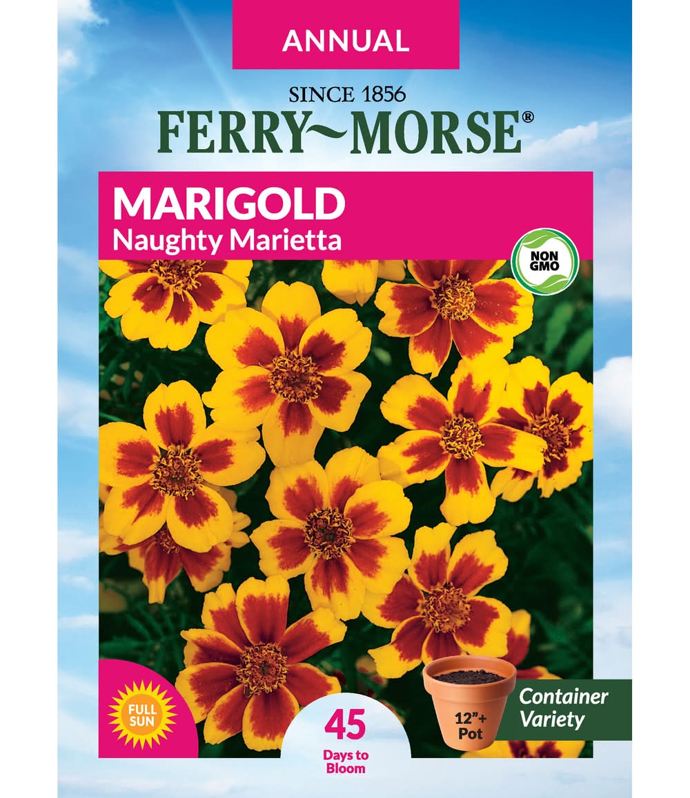 Ferry-Morse Marigold Seeds 300 Milligram(s)