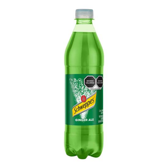 Schweppes refresco ginger ale  (botella 600 ml)