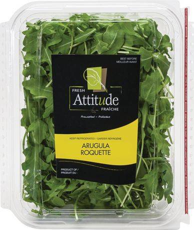 Fresh Attitude Prewashed Arugula (142 g)