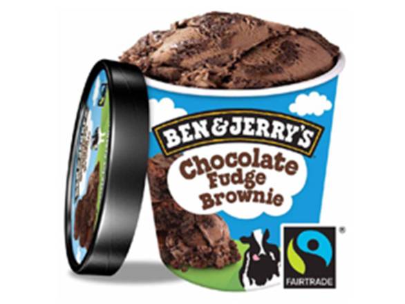 Chocolate Fudge Brownie - Ben & Jerrys™