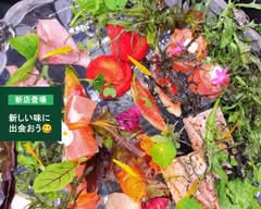 カジュアルフレンチレストラン Bistro grâce ビストログラス