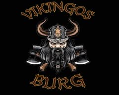 VIKINGOS BURG