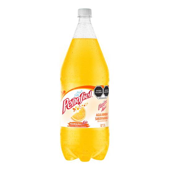 Peñafiel naranjada regular (botella 2 l)