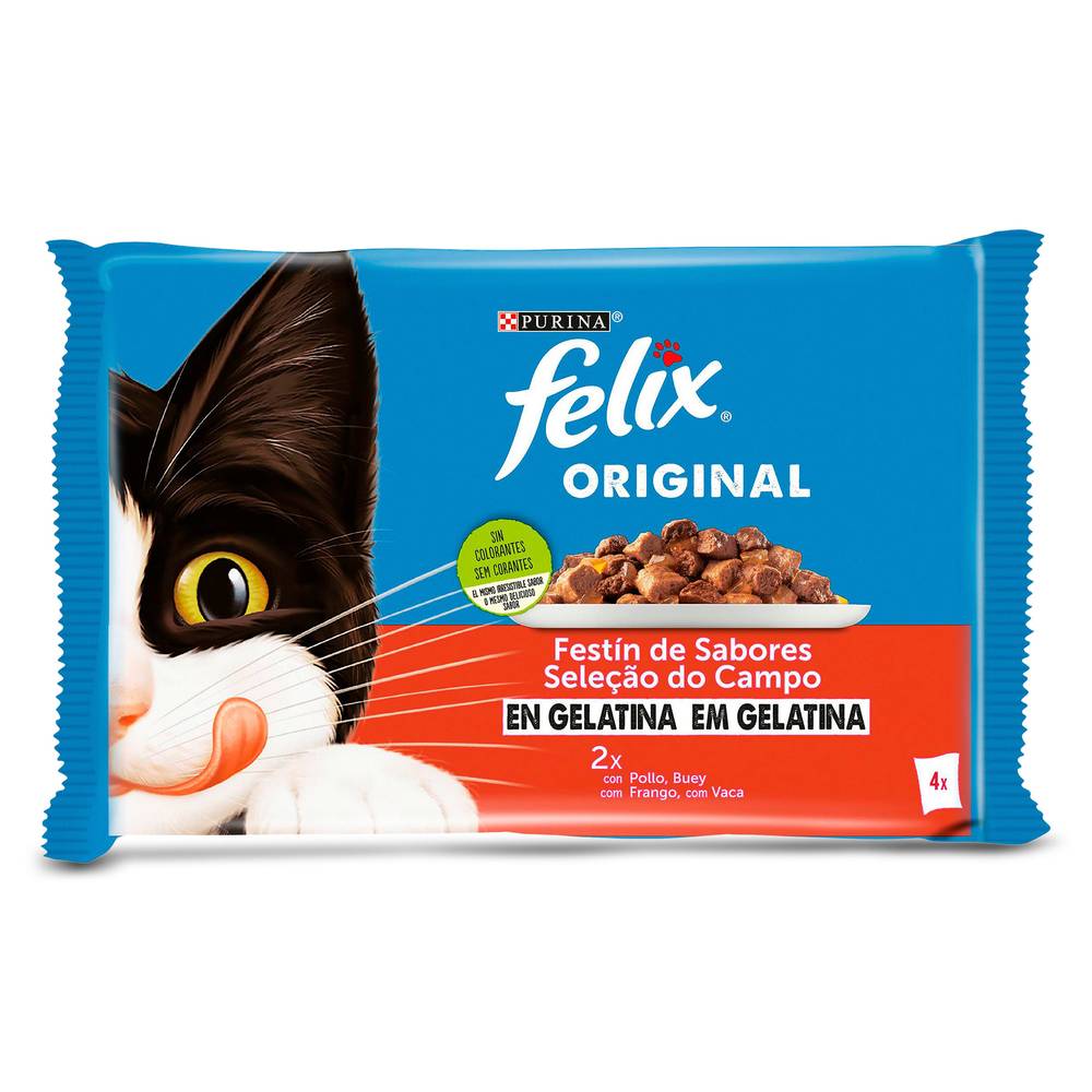 Alimento Para Gatos En Gelatina Sabor Carne Felix Bolsa 340 G