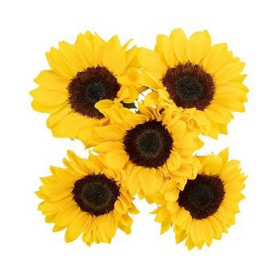 Fresh Cut Sunflower Consumer Bunch - 5 Stems (Varieties May Vary)