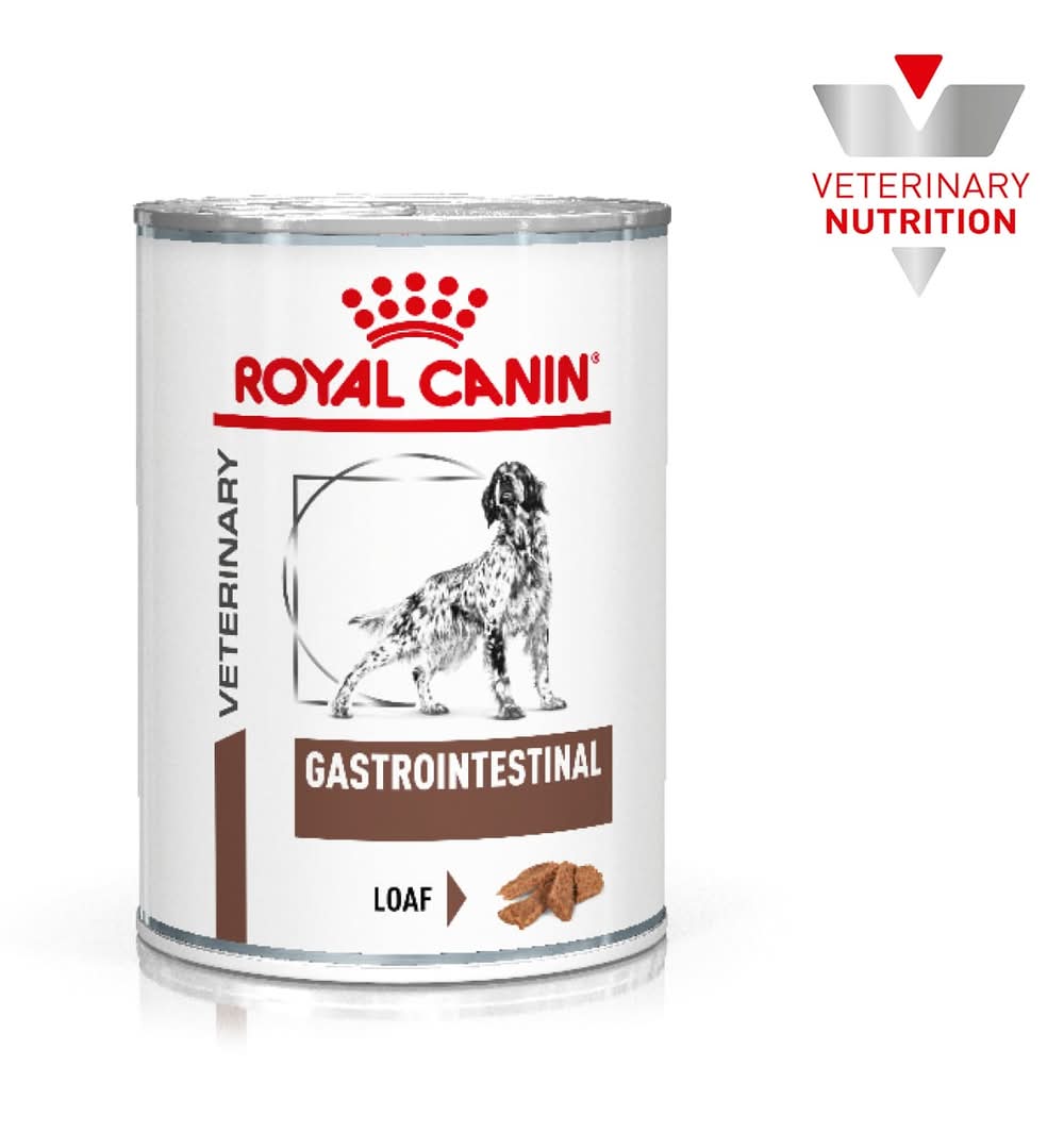 Royal Canin · Veterinary gastrointestinal alimento para perros, Adulto (385 g)