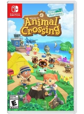 Nintendo Switch New Horizons Edition