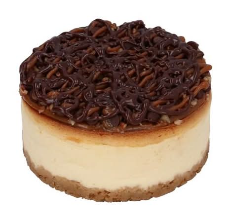 HEB mini pastel cheesecake tortuga