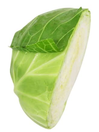 16_キャベツ１／２