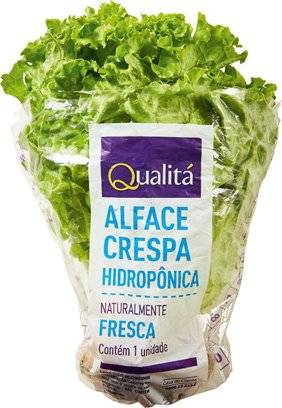 Qualitá · Alface crespa hidropônica