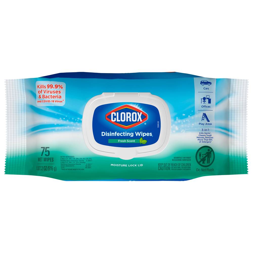 Clorox Easy To Pull Fresh Scent Disinfecting Wipes (75 ct)