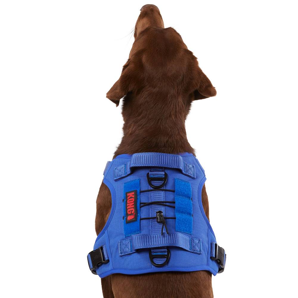 KONG® Double Handle Vest Dog Harness (Color: Blue, Size: X Large)