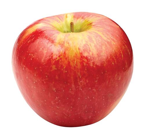 Honeycrisp Apple