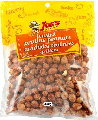 Joe's Tasty Travels Toasted Praline Peanuts (450 g)