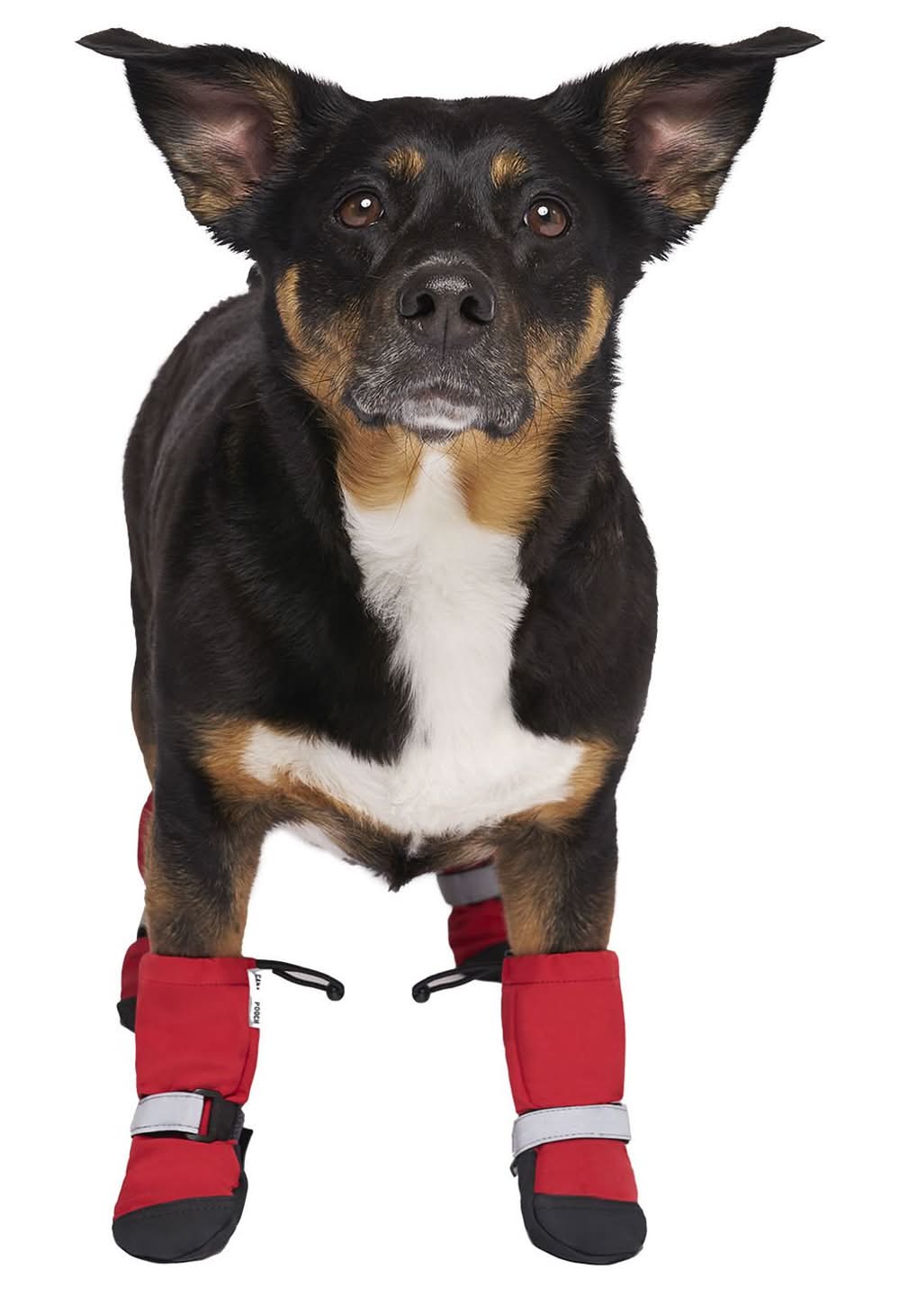 Canada Pooch Soft Shield Red Reflective Boots, 2