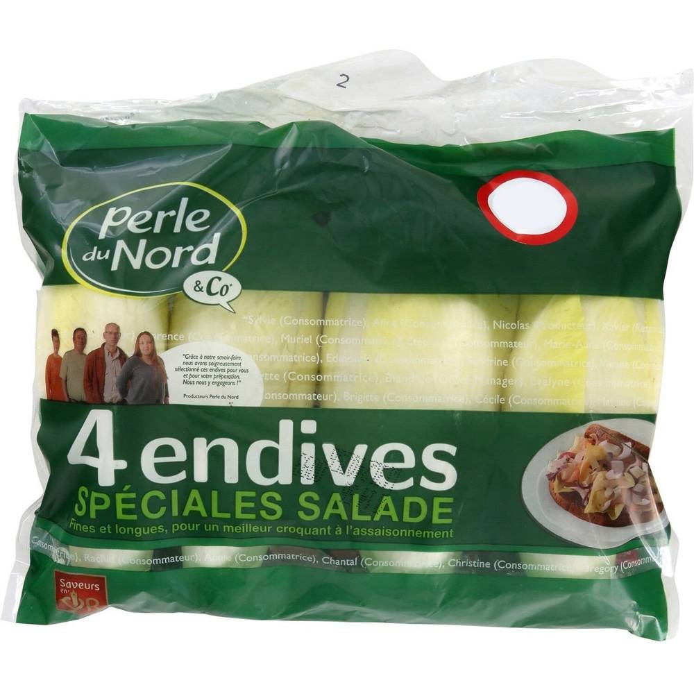 Endives spéciale salade PERLE DU NORD - le sachet de 4 endives