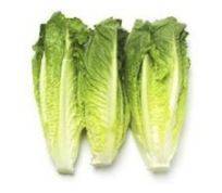 Romaine Lettuce Heart 7/6 - 3 lb