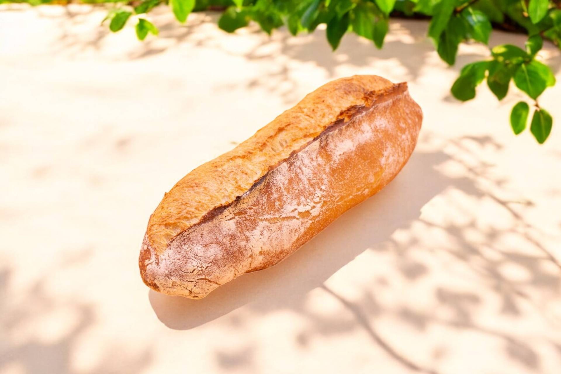 Demi tradition nature 🥖🥖