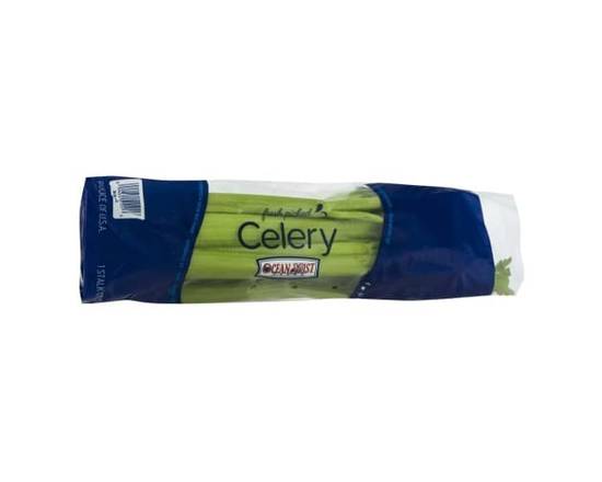Medium Celery (1 ct)