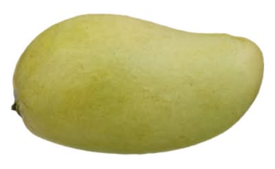 Marathon Honey Mango (16 ct)
