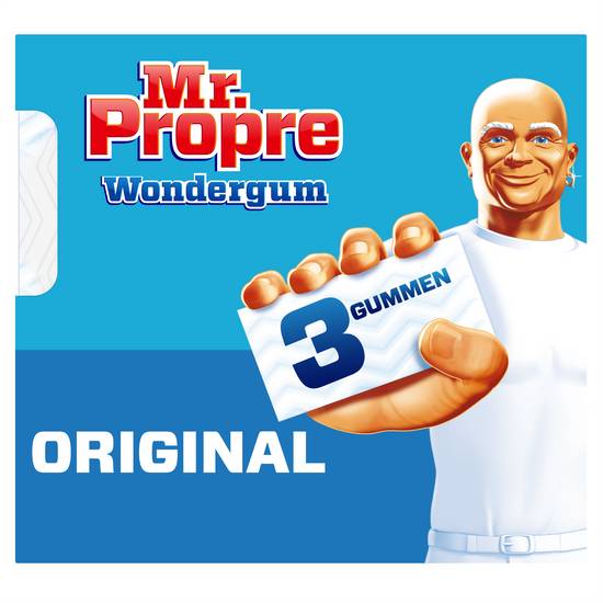 Mr Propre - Mr. propre gomme magique nettoyante original