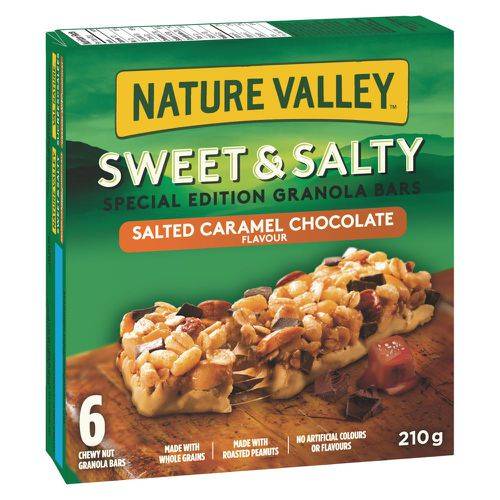 Nature Valley Bars Sweet & Salty Caramel Chocolate Bars (210 g)