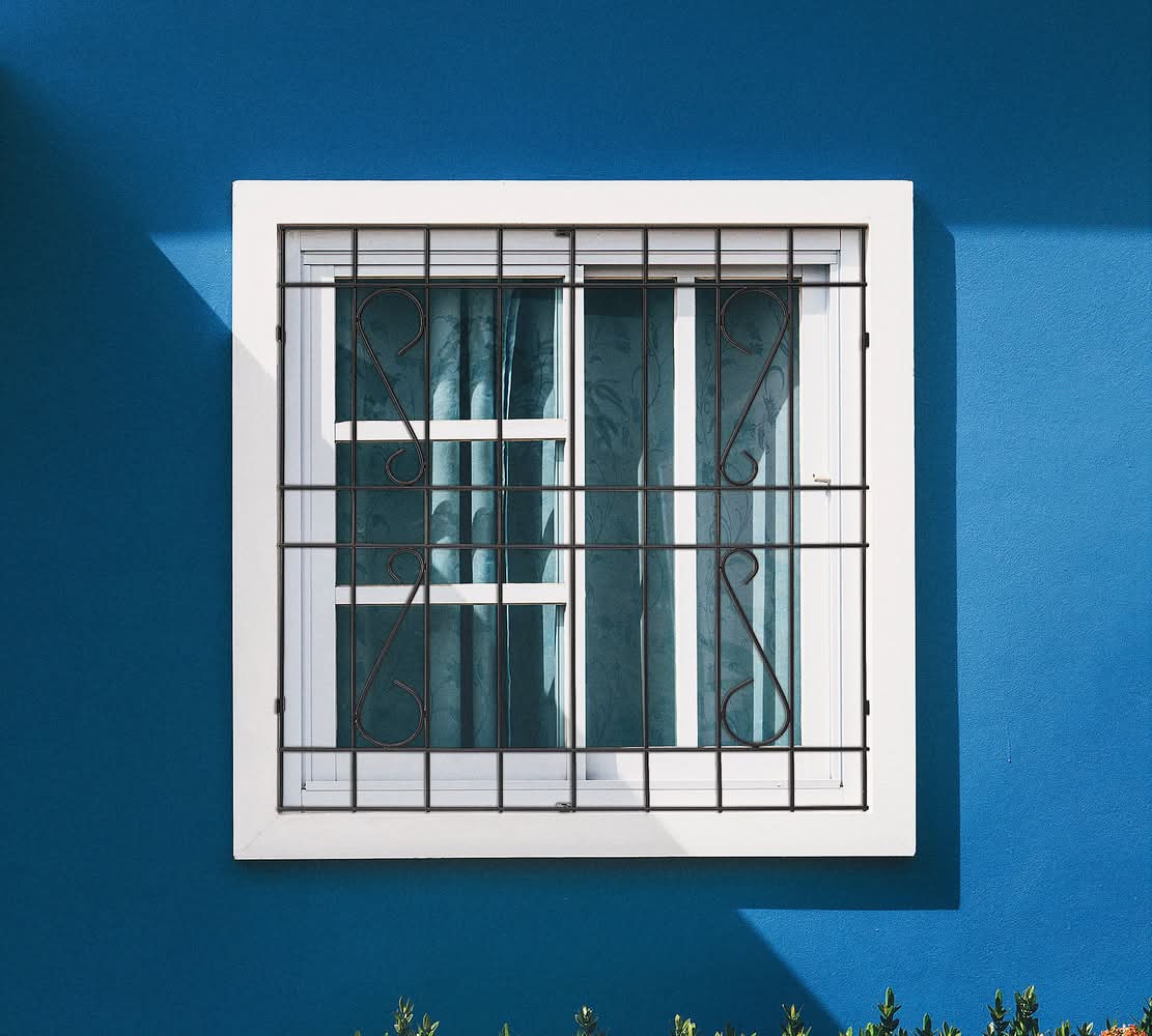 Protección Ventana Barra Acero Negro 100x120 cm