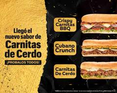 Subway (DLC Masferrer Norte)