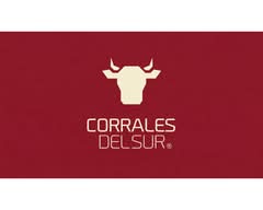 Corrales Del Sur (Providencia)