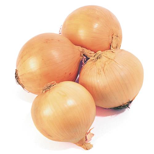 Yellow Onions Small 1 Count