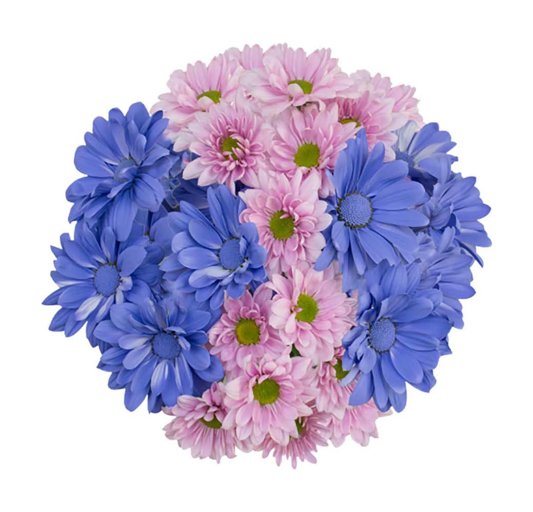 Fresh Flowers Everyday Floral Bouquet
