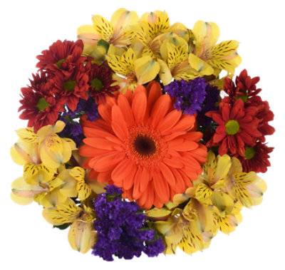 Lux Seasonal Bouquet - Each