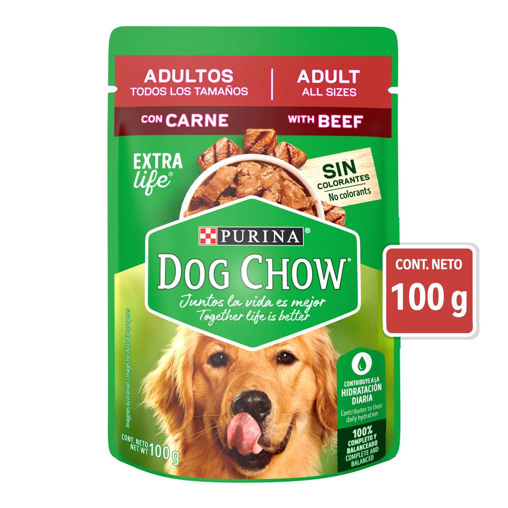 Dog Chow · Alimento húmedo para perro adulto sabor carne (100 g)