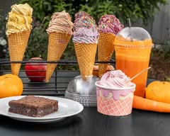 Real Fruit Ice Cream 