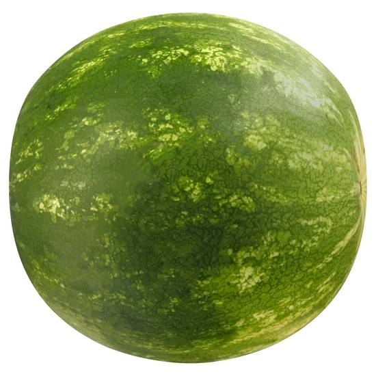 Melonup! Seedless Watermelon