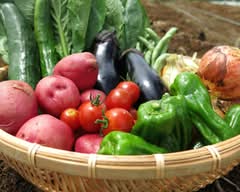 自然食品F&F 梅が丘店