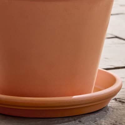 Vigoro Clay Terracotta Plant Saucer Delivery Near Me | Order Online | Uber  Eats
