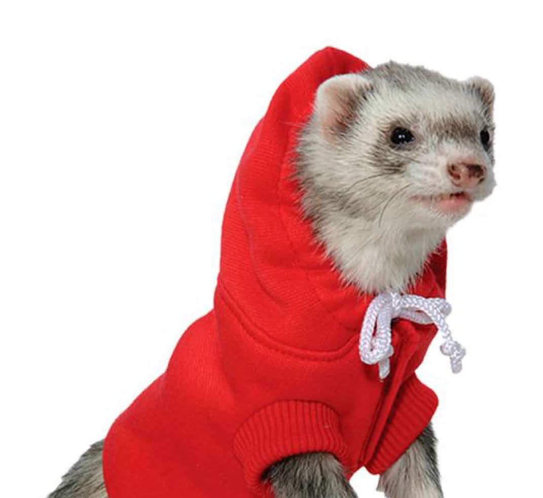 Marshall Pet · Suéter para hurón rojo (120 g)