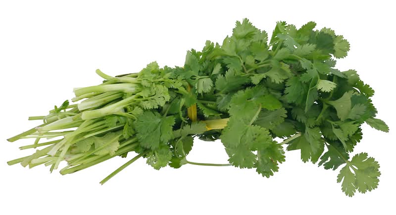 Giant Eagle Cilantro, Bunched