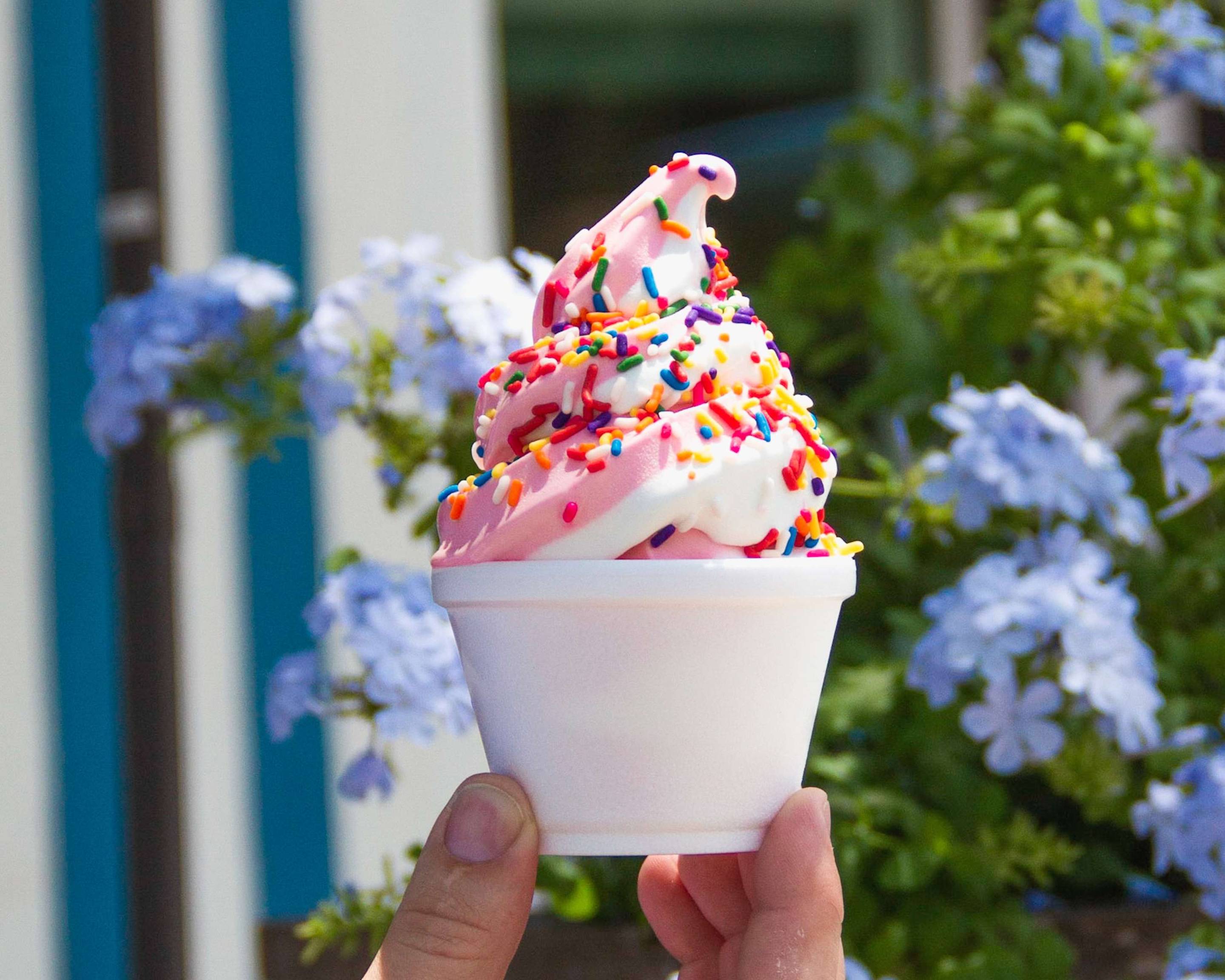 Order Dreamette Ice Cream Menu Delivery【Menu & Prices】 Jacksonville