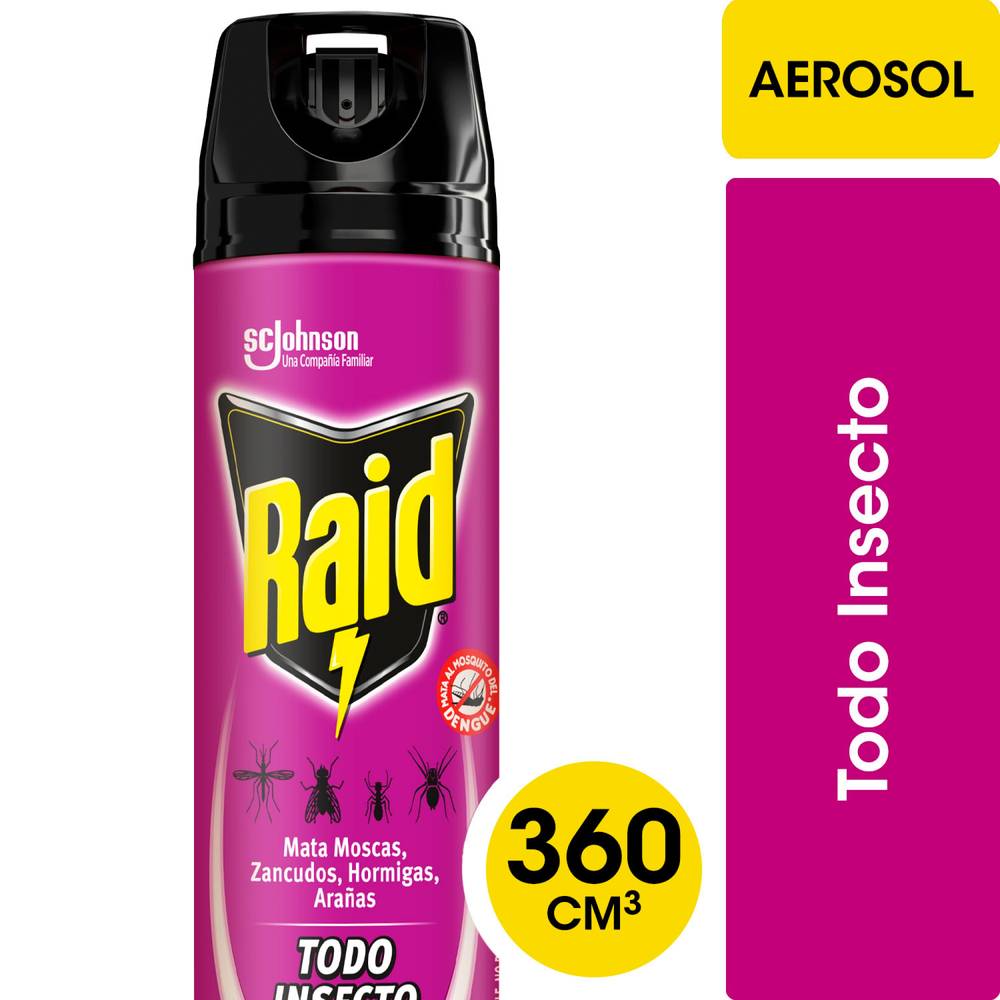 Raid insecticida todo insecto (spray 360 ml)