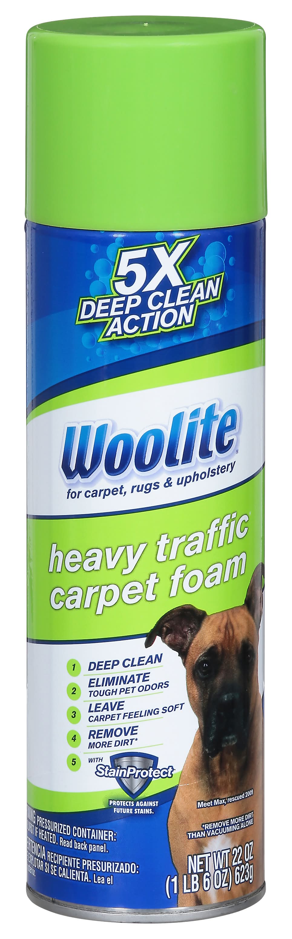 Woolite Heavy Traffic Carpet Foam (22 oz)