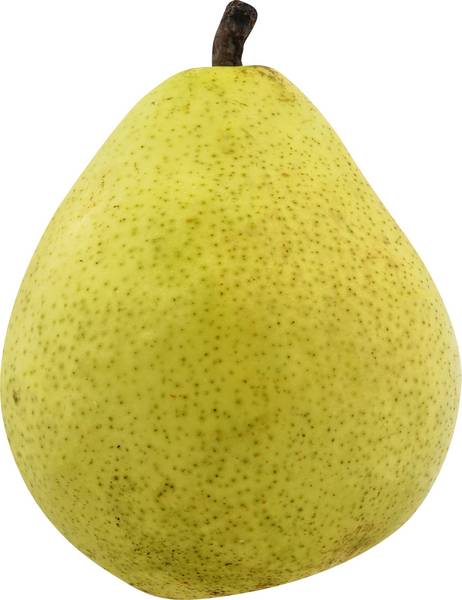 Anjou Pears