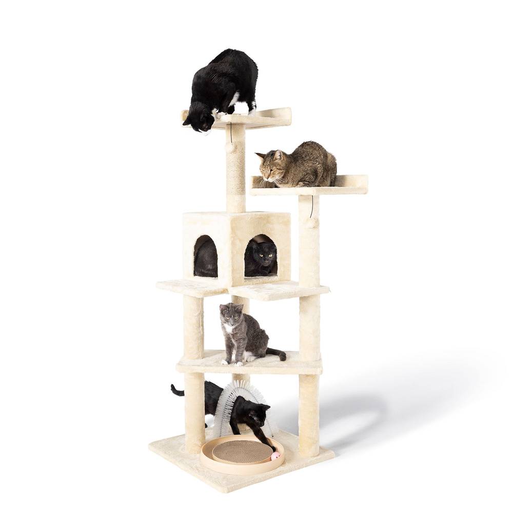 Whisker City® 60-in Playbox, Ball Track with Scratcher Toys Cat Tree (Color: Green)